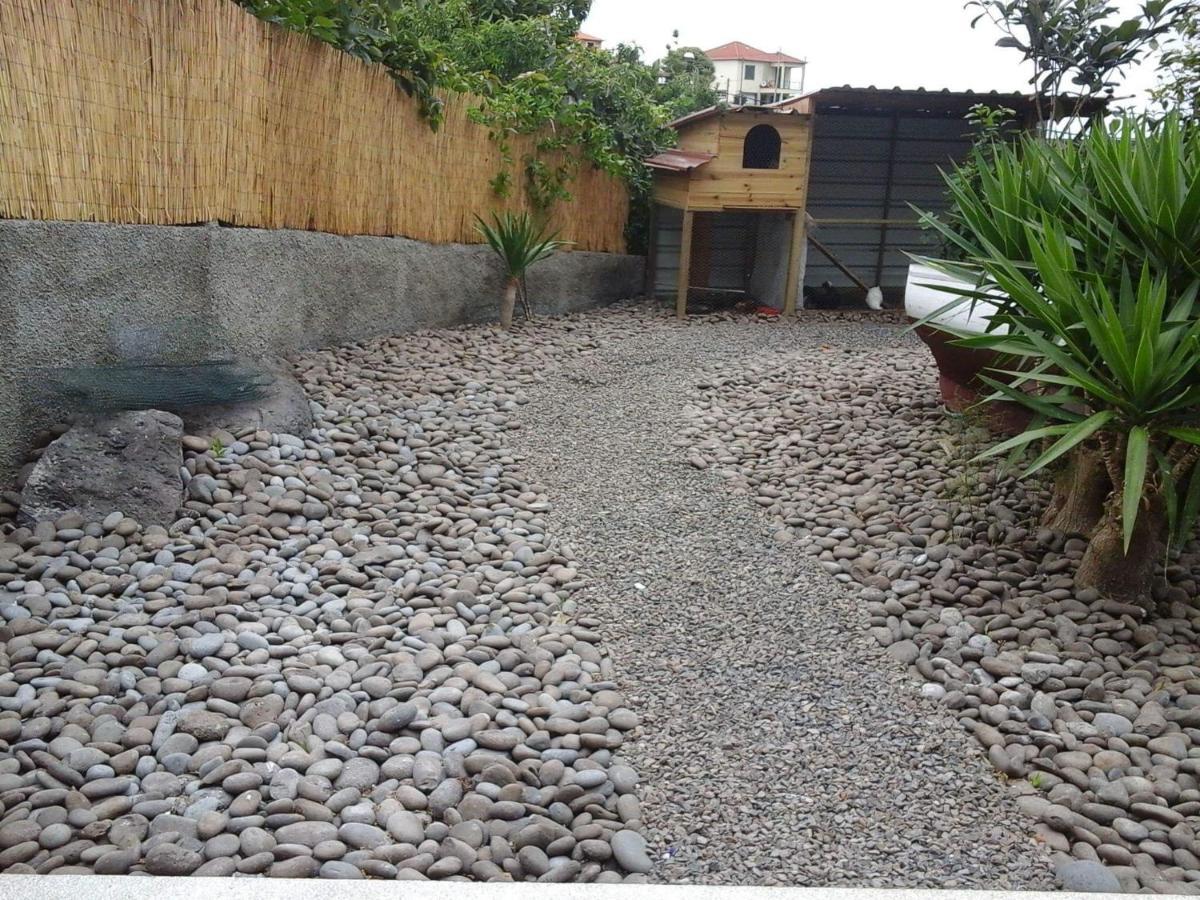 Cottage Quinze, Contemporary Designed Cottage With Swimming Pool Ponta Delgada Exterior foto