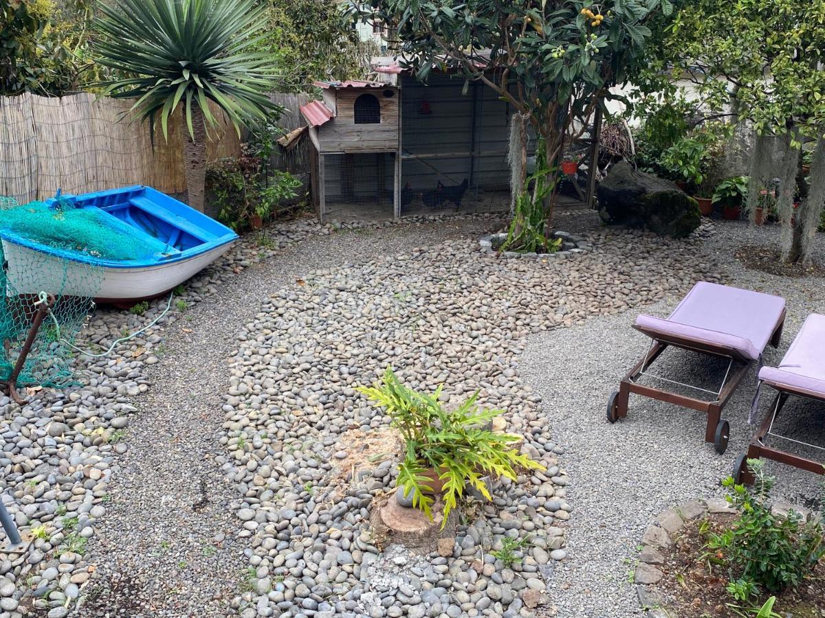 Cottage Quinze, Contemporary Designed Cottage With Swimming Pool Ponta Delgada Exterior foto